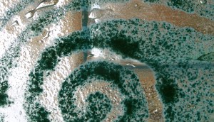 KONICA MINOLTA DIGITAL CAMERA